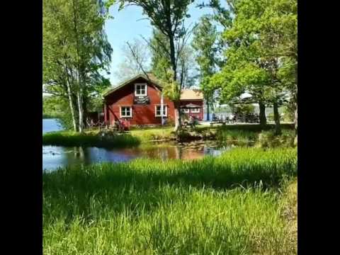 YouTube-Video-Thumbnail