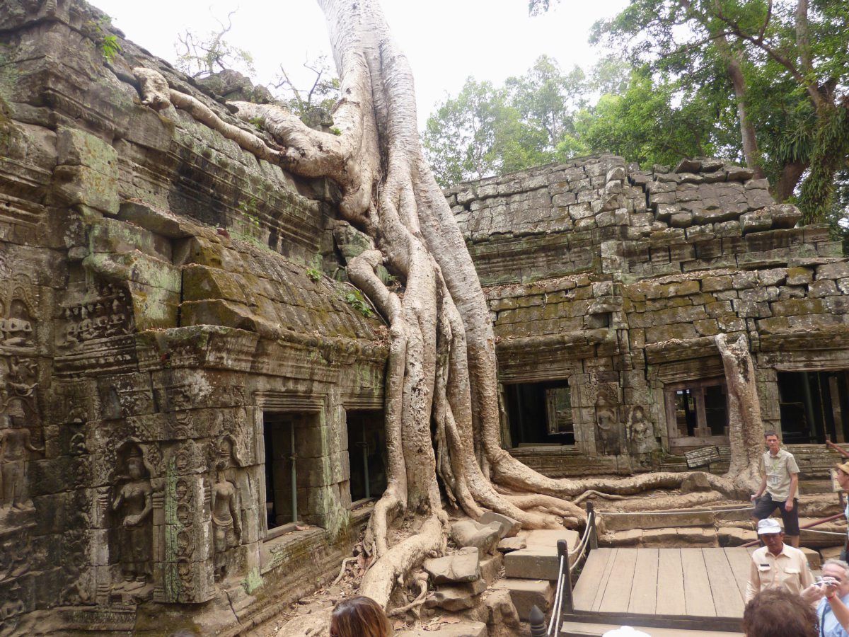 Der Tempel Ta Prohm in Angkor Wat in Kambodscha