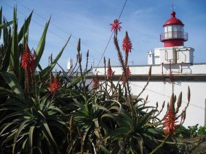 Leuchtturm Ponta do pargo auf Madeira