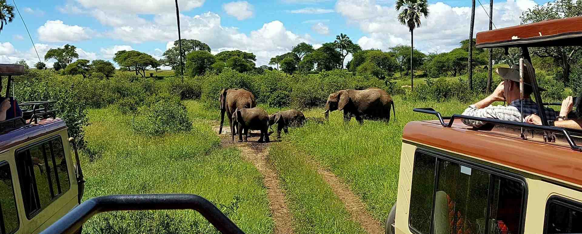der Tarangire Nationalpark, Teil des "Northern Circuit" in Tansania