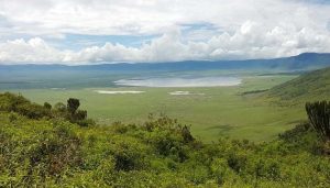 Blick in den Ngorongoro-Kraters, Tansania.