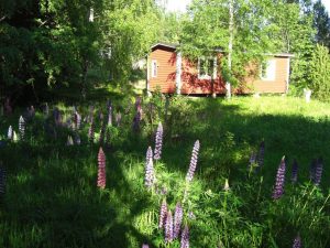Ein Ferienhaus auf Åland, dem Schärenparadies der Ostsee