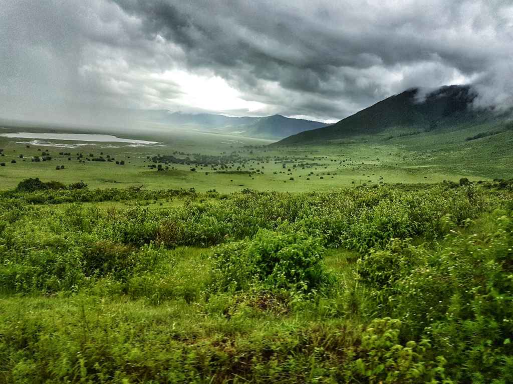 Blick in den Ngorongoro-Krater in Tansania