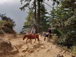 Pferde auf dem Weg zum Tigernest-Kloster oberhalb des Part-Tales in Bhutan.