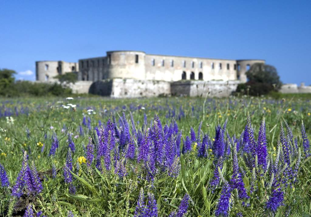 Schloss Borgholm auf der schwedischen Insel Öland.