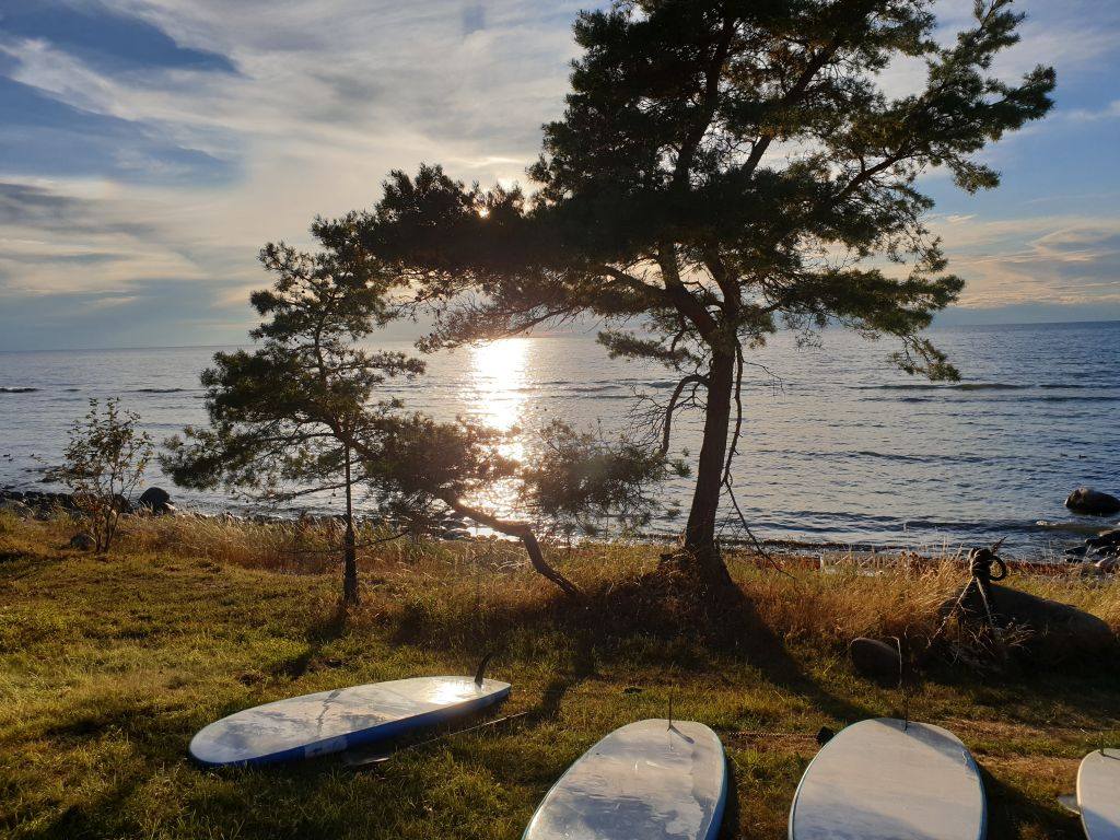 Strand auf der schwedischen Insel Gotland