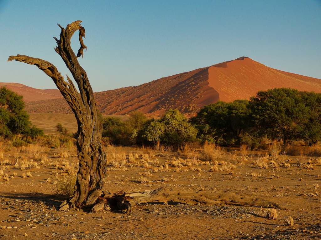 Impressionen aus der Dünenlandschaft Sossusvleiu in Namibia