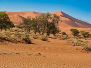 Impressionen aus der Dünenlandschaft Sossusvleiu in Namibia