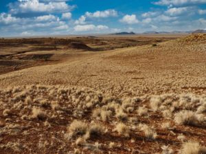 Auf dem Weg zu den Sanddünen der Sossusvlei in Namibia