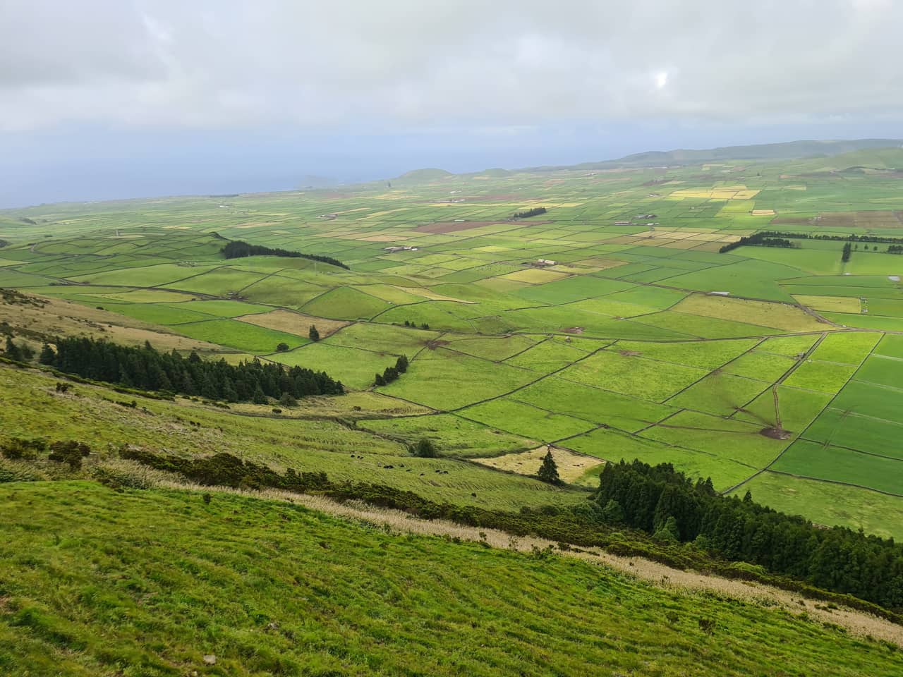 Motiv von der Azoreninsel Terceira