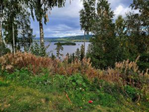 Der Fryken oder Fryken-See ist ein See im Värmland in Schweden. Der schmale, langgezogene See erstreckt sich in Nord-Süd-Richtung und besteht aus drei miteinander verbundenen Seen