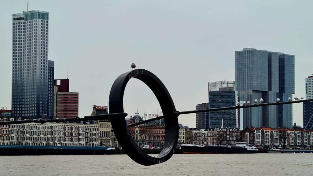 Blick auf die Skyline von Rotterdam