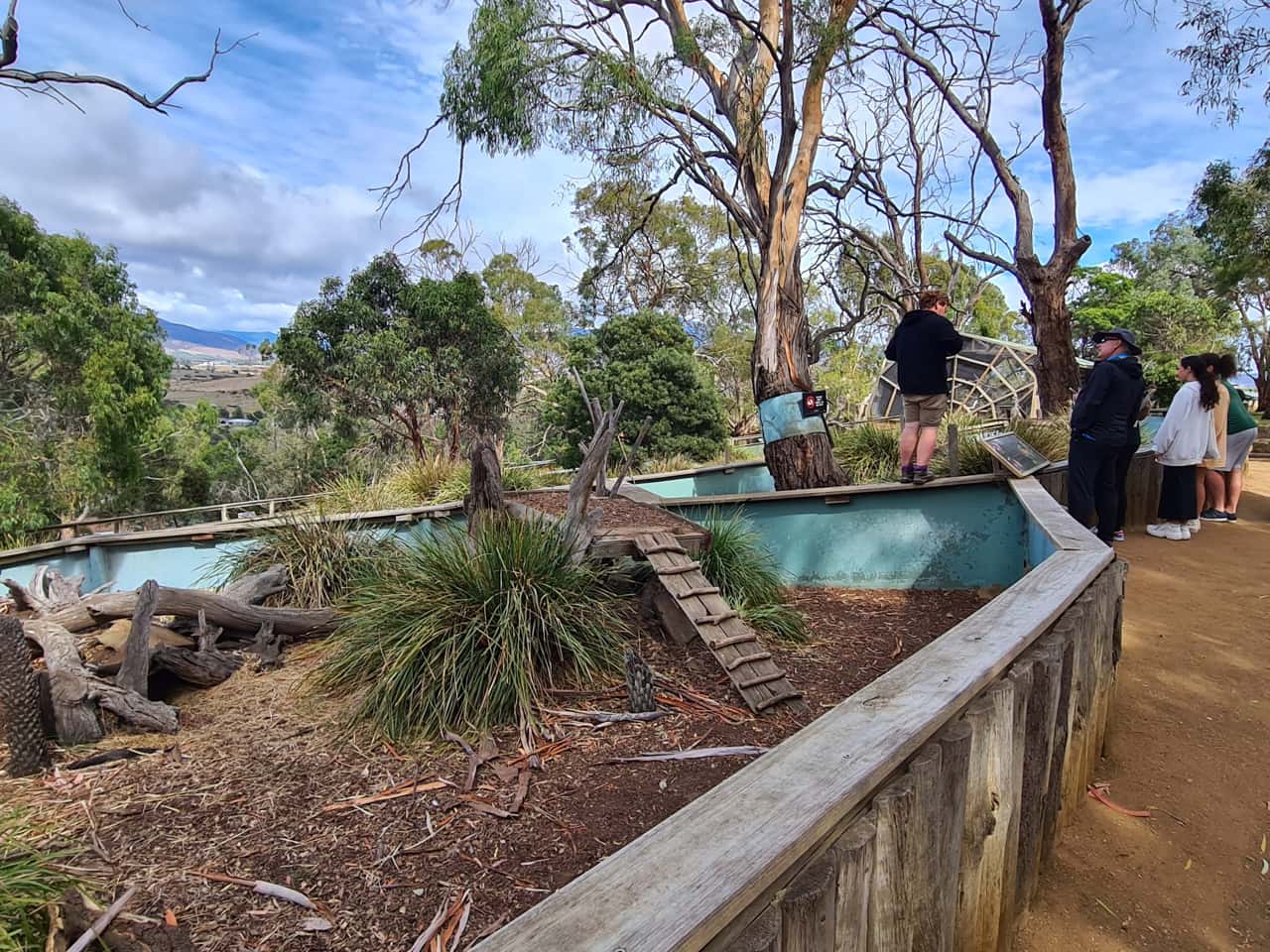 Im Bonorong Wildlife Sanctuary bei Hobart auf der Insel Tasmanien, Neuseeland