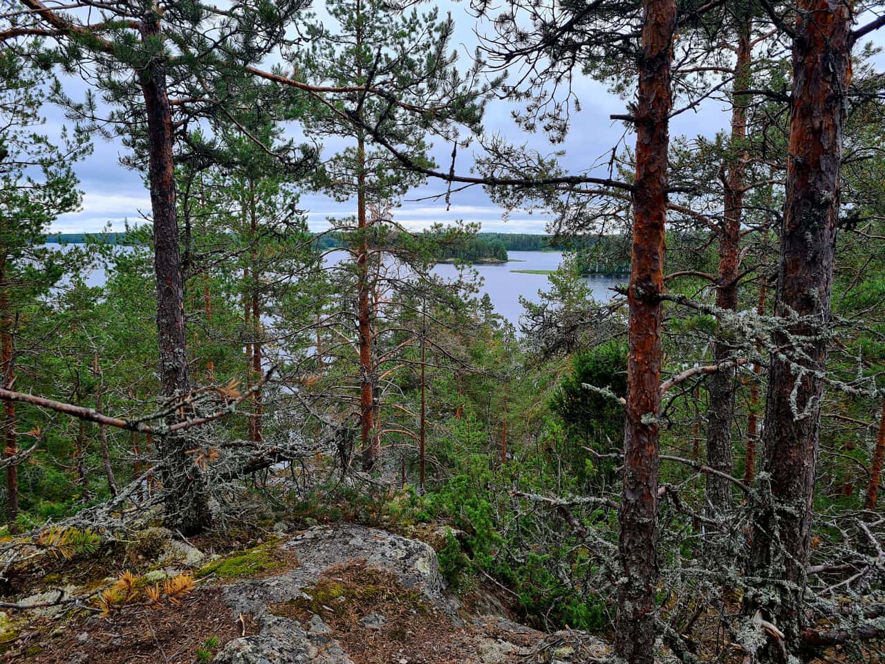 der Nationalpark Linansaari am Saimaa-See im Südosten Finnlands