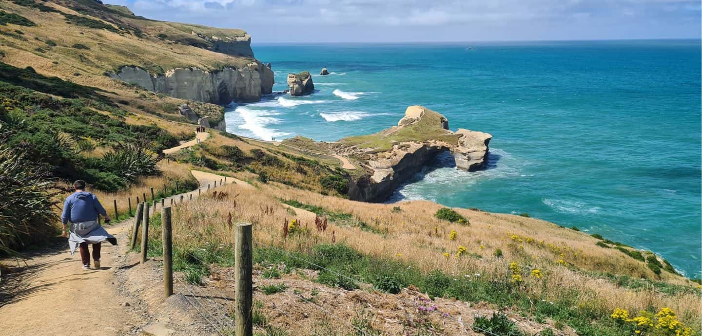 Küstenabschnitt bei Dunedin, Neuseelands Südinsel