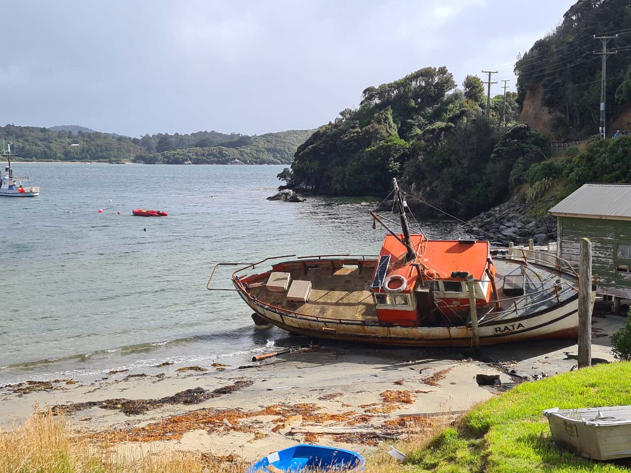 auf Stewart Island, Neuseelands drittgrößte Insel