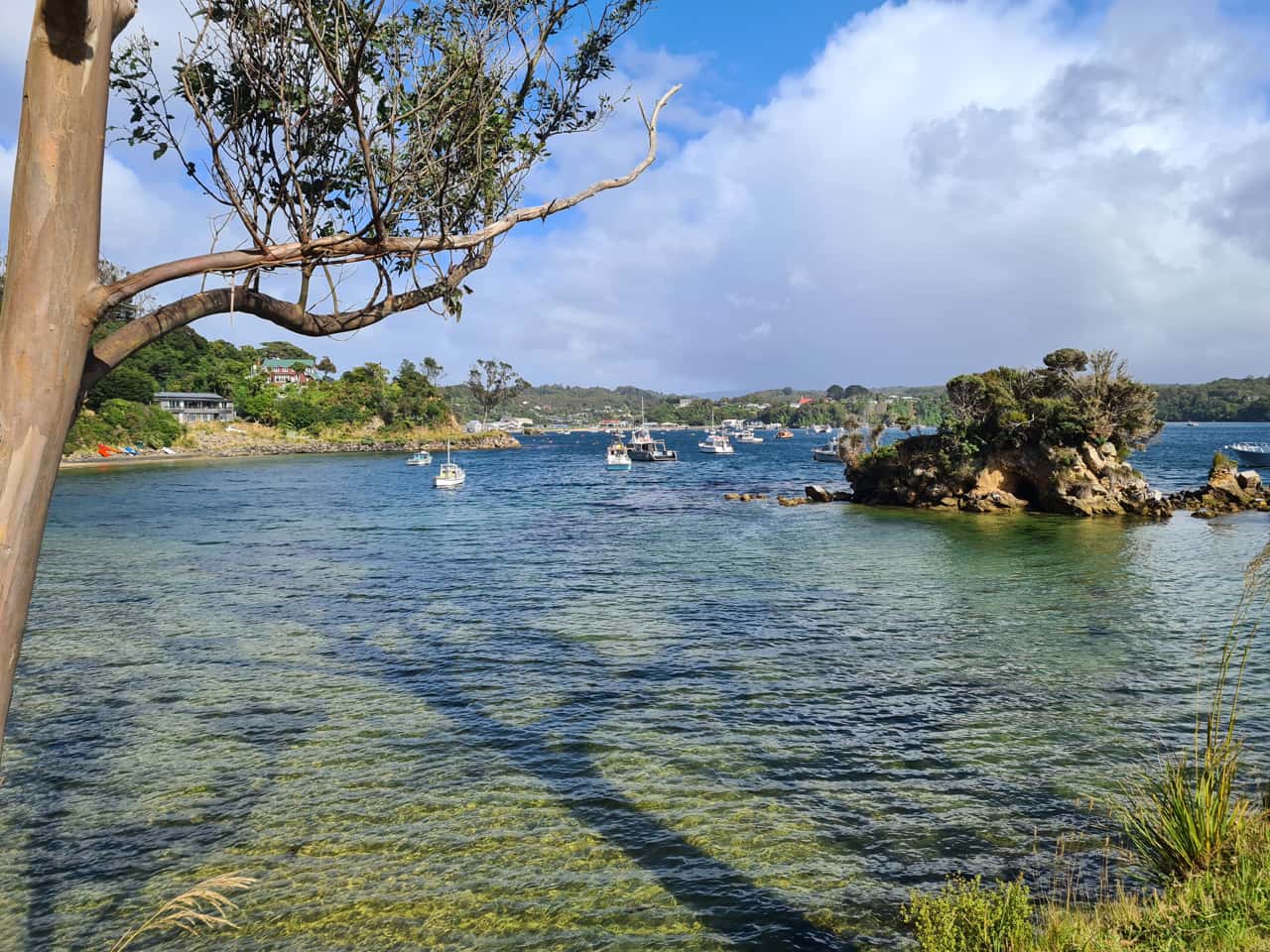 auf Stewart Island, Neuseelands drittgrößte Insel