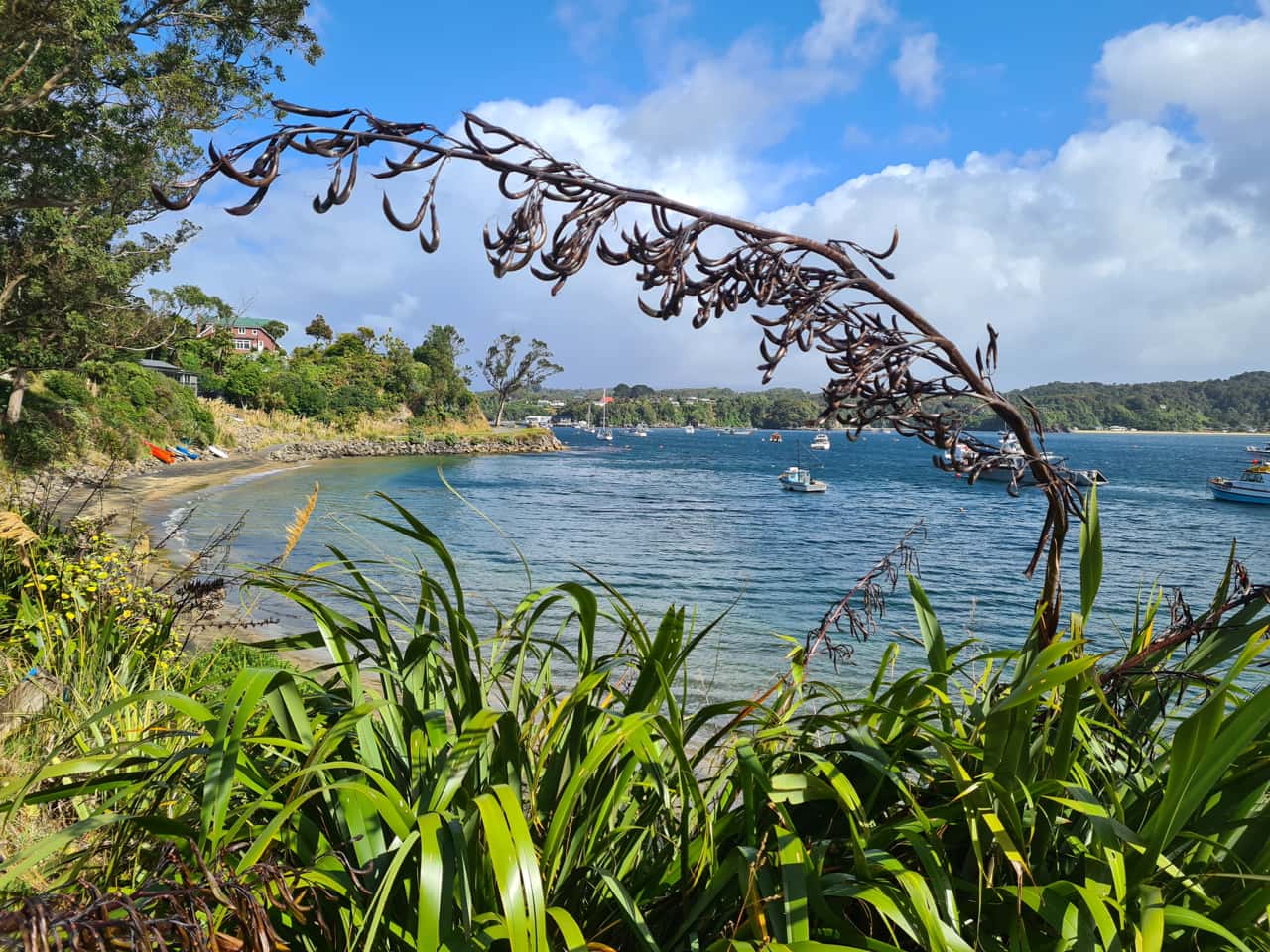 Stewart Island, die drittgrößte Insel Neuseelands