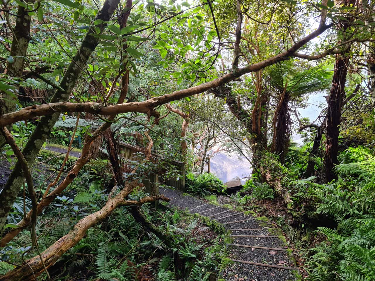 Stewart Island, die drittgrößte Insel Neuseelands