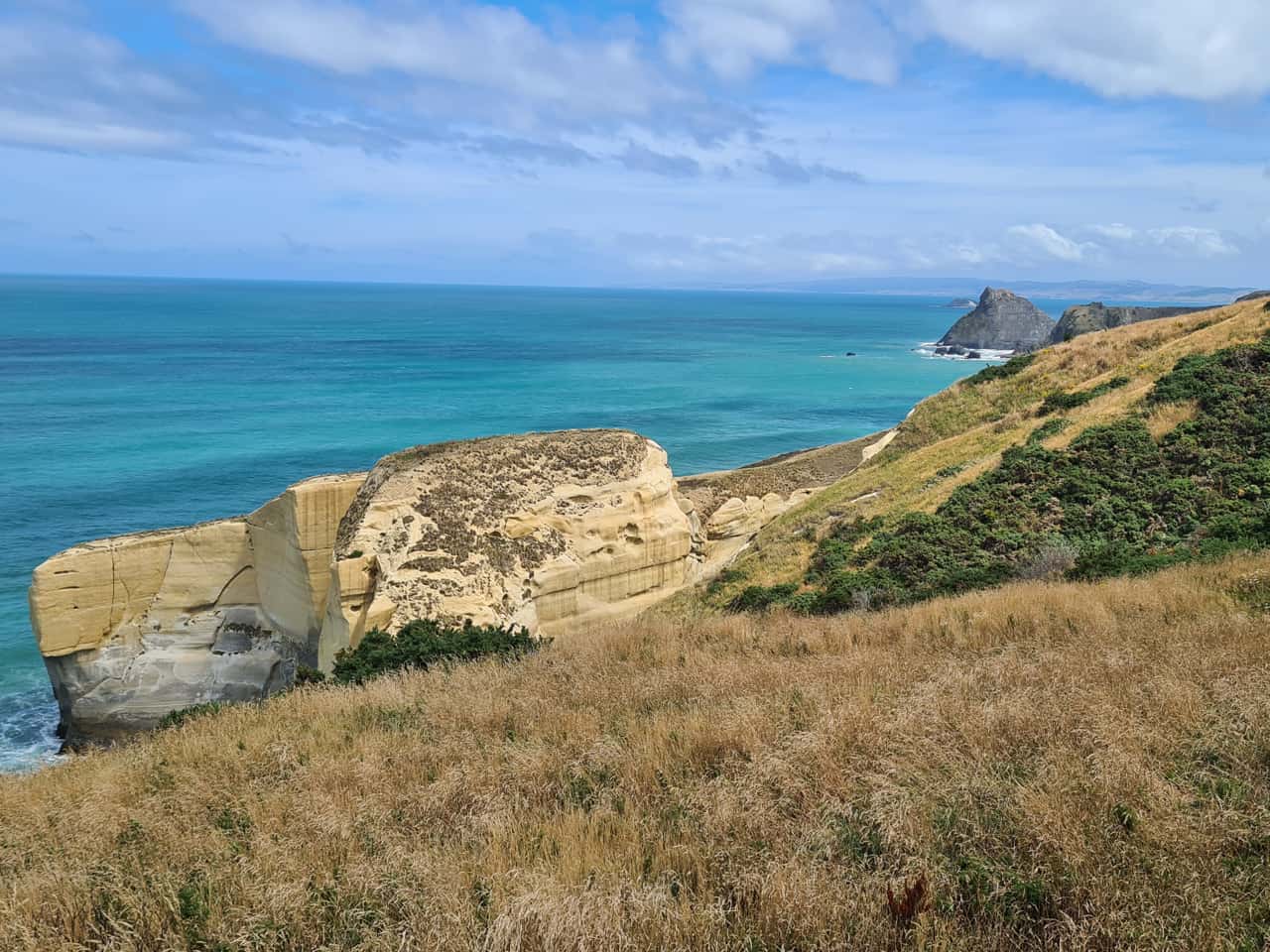 der Küstenabschnitt Tunnel Beach in Dunedin auf Neuseelands Südinsel