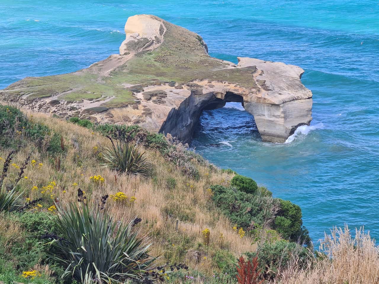 der Küstenabschnitt Tunnel Beach in Dunedin auf Neuseelands Südinsel