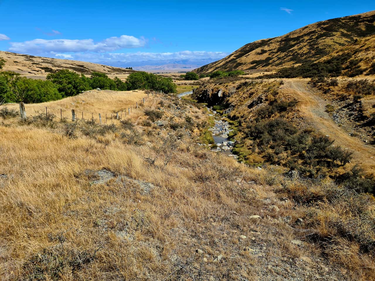 die Mackenzie-Ebene auf der Südinsel von Neuseeland