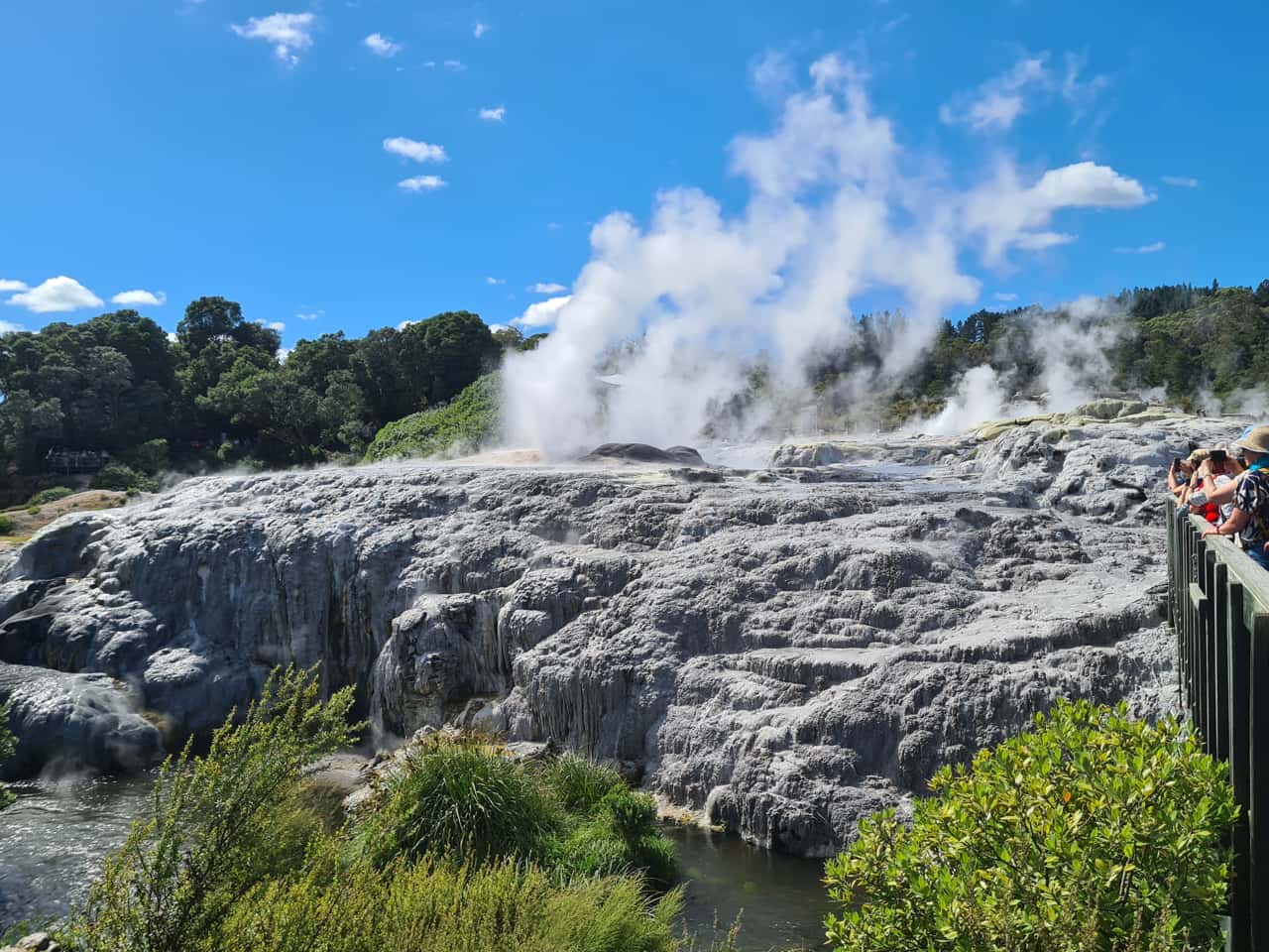 Thermalfeld bei Rotorua auf Neuseelands Nordinsel