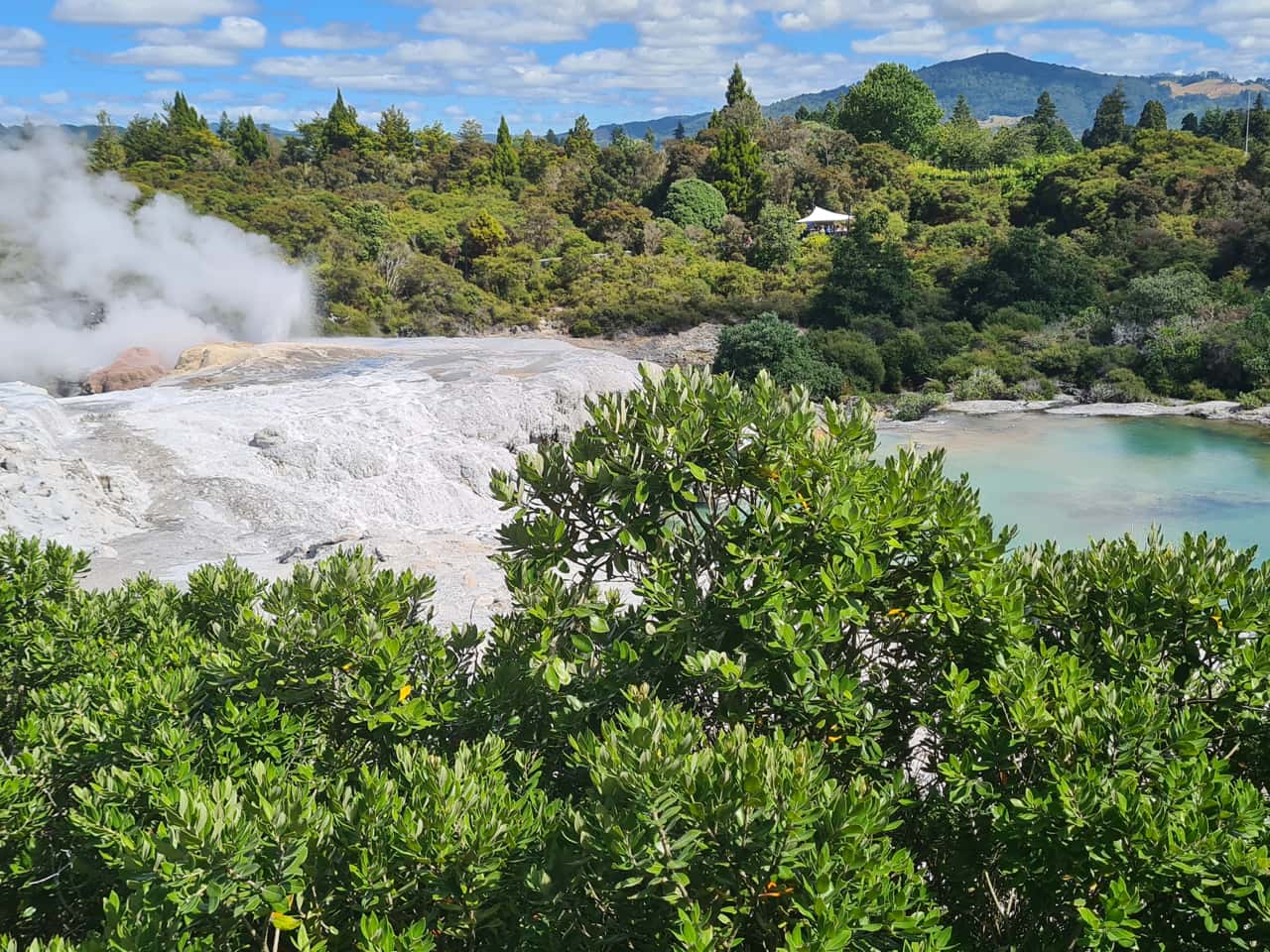 Thermalfeld bei Rotorua auf der Nordinsel von Neuseeland