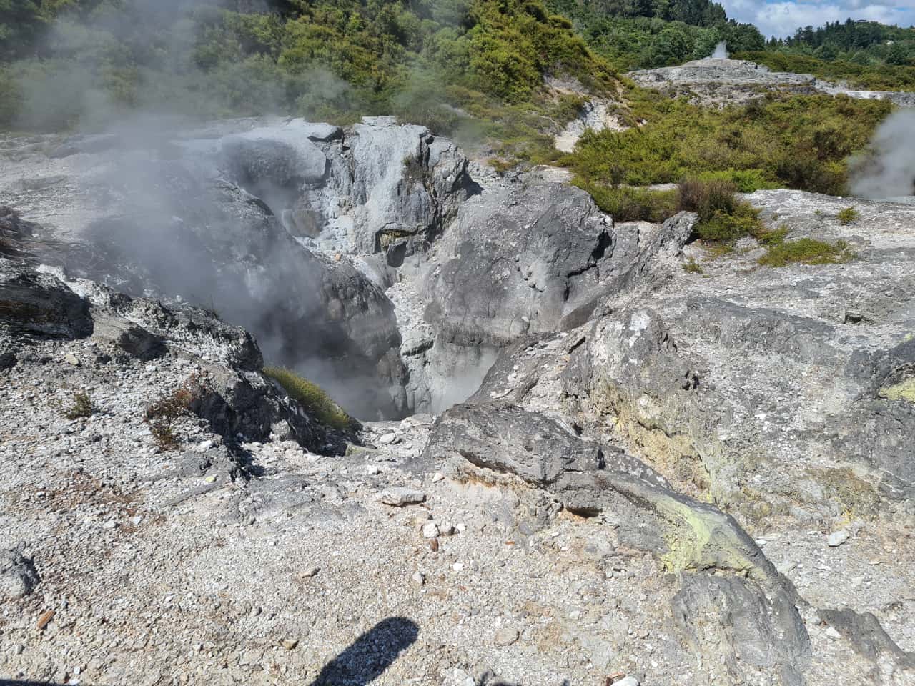 Thermalfeld bei Rotorua auf der Nordinsel von Neuseeland