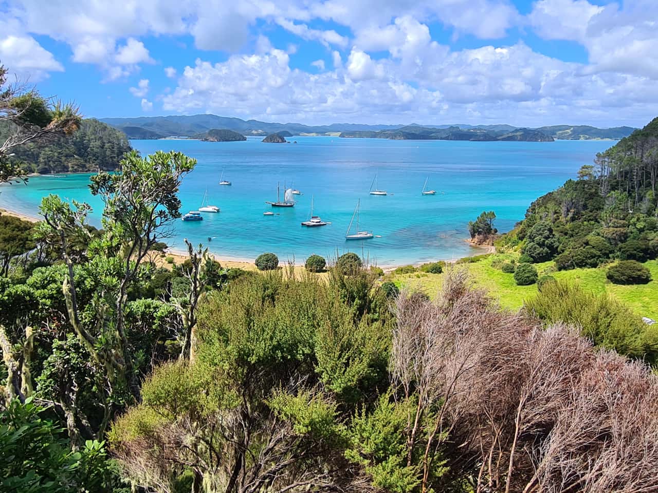 die Insel Motuarohia in der Bay of Islands auf Neuseelands Nordinsel