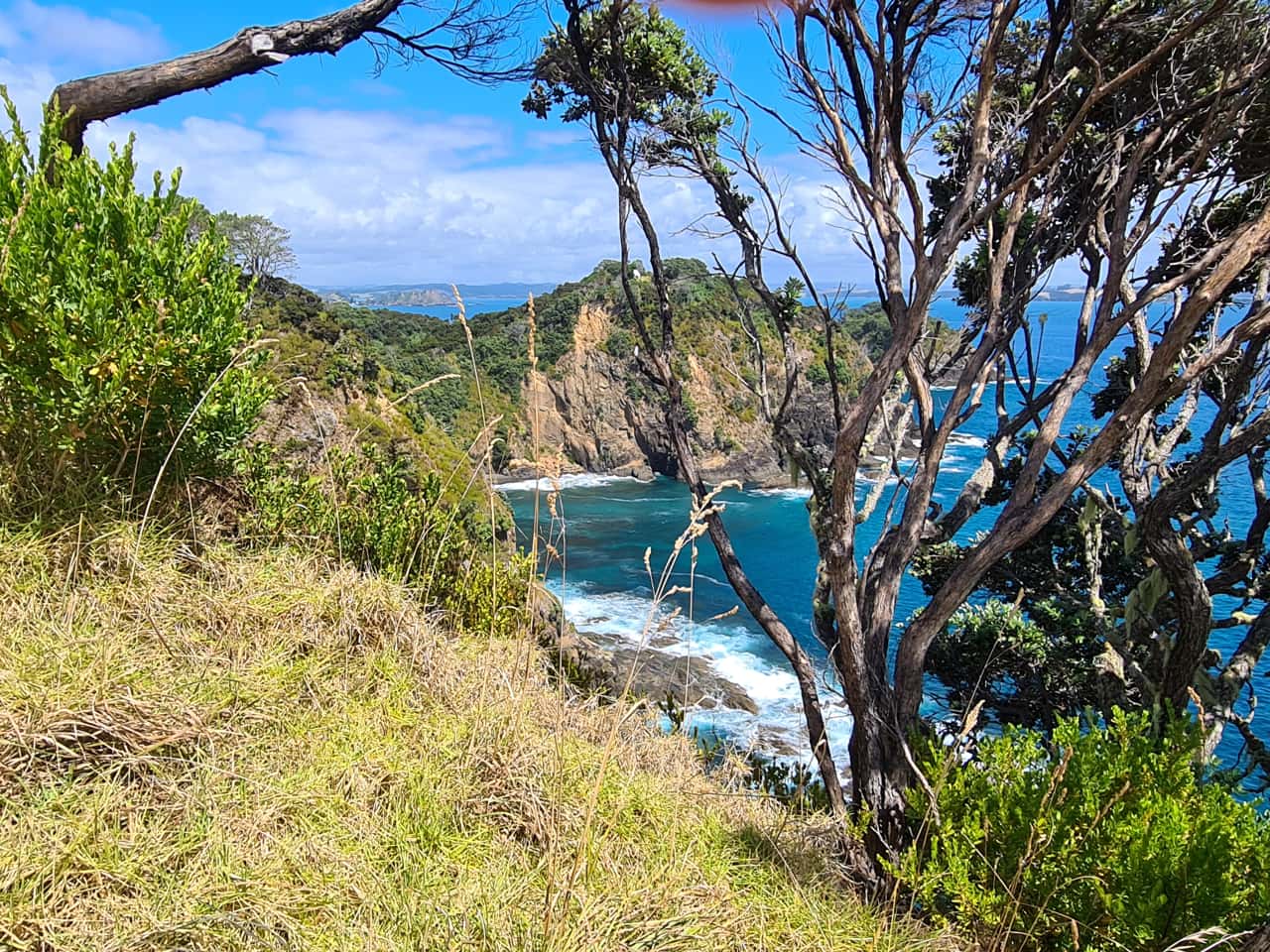 die Insel Motuarohia in der Bay of Islands auf Neuseelands Nordinsel