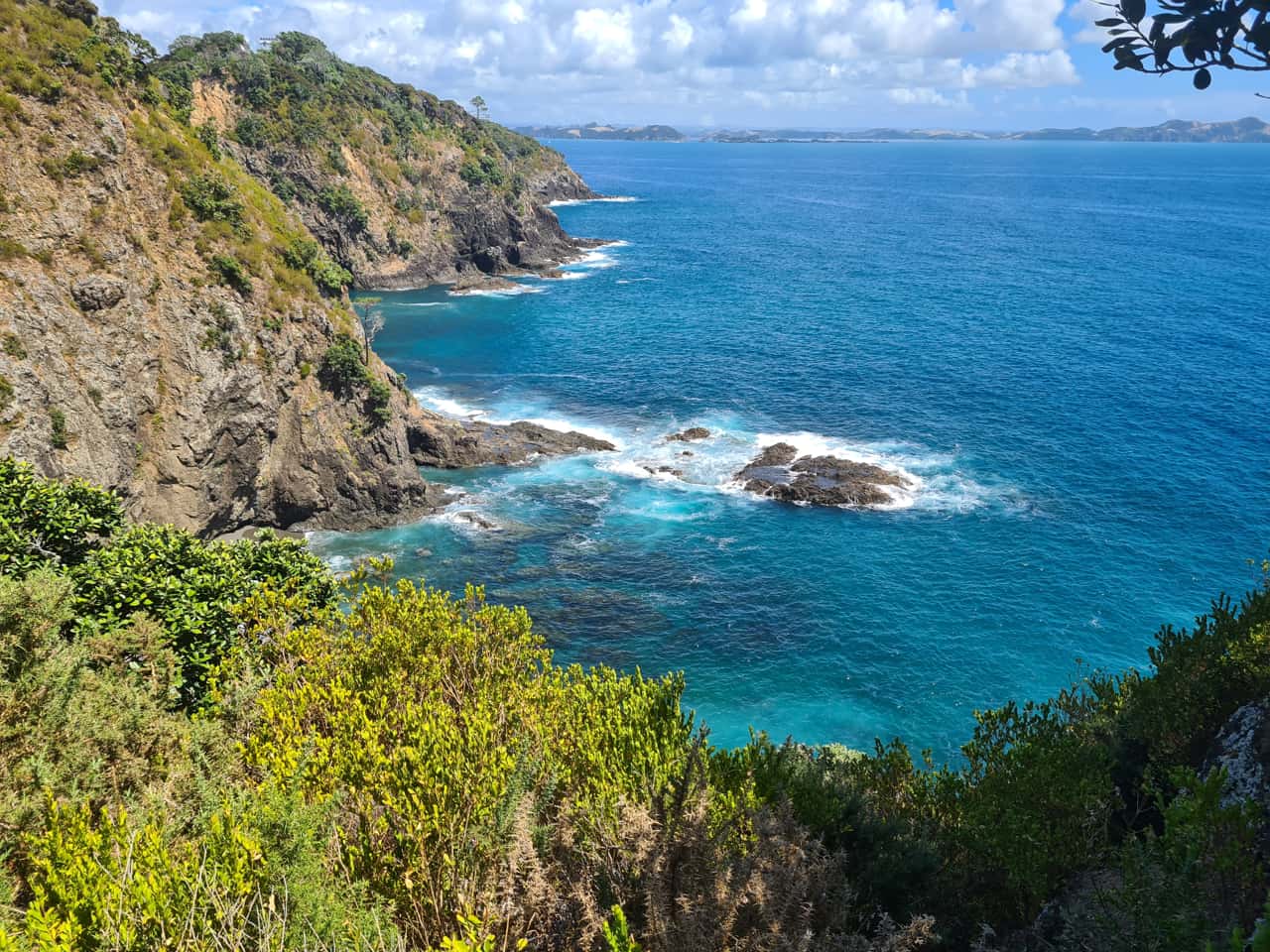 die Insel Motuarohia in der Bay of Islands auf Neuseelands Nordinsel