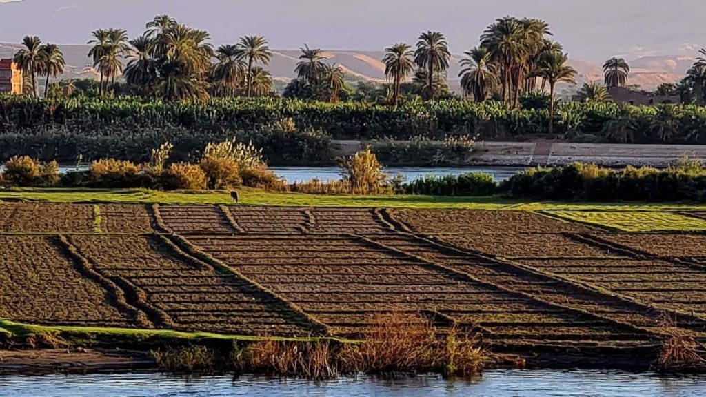 Kreuzfahrt aud dem Nil, Ägypten