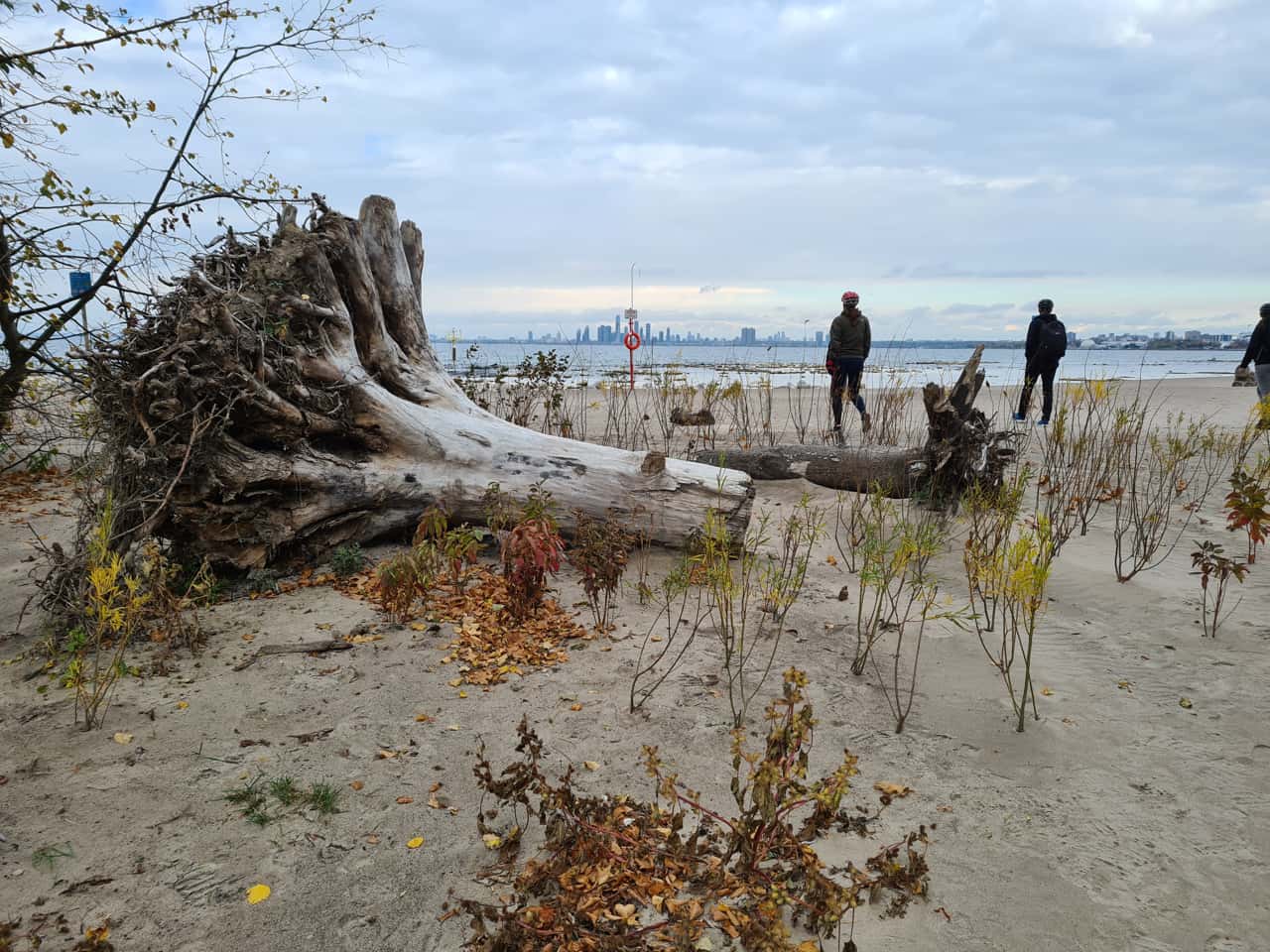 Strand auf den Toronto Islands, Kanada