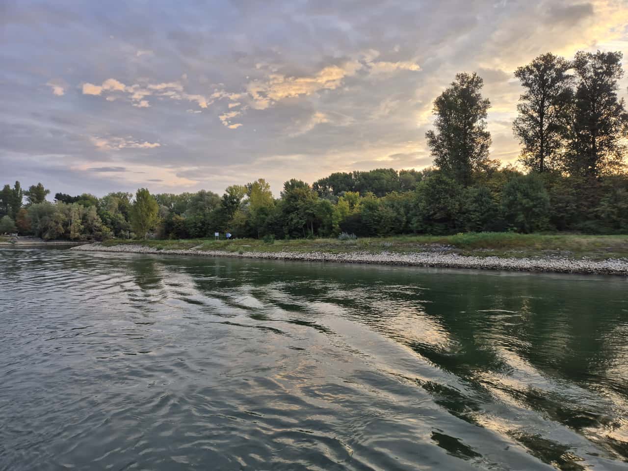 am Oberrhein