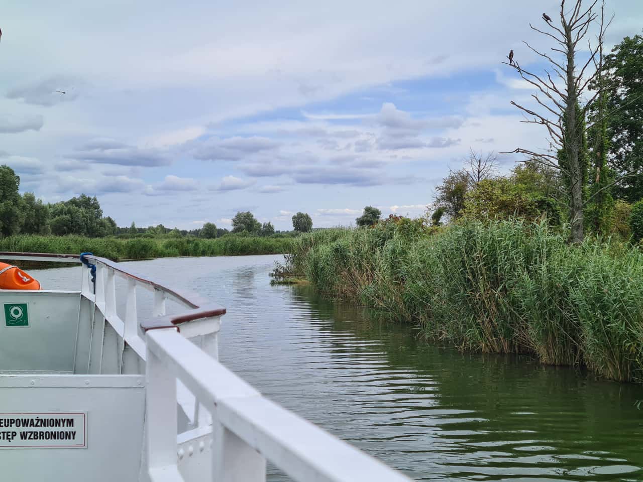 Der Jezioro Druzno, der Drausensee im Nordwesten Polens